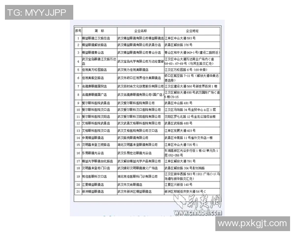 武汉排球队的团队协作与战术配合分析及其对比赛成绩的影响探讨