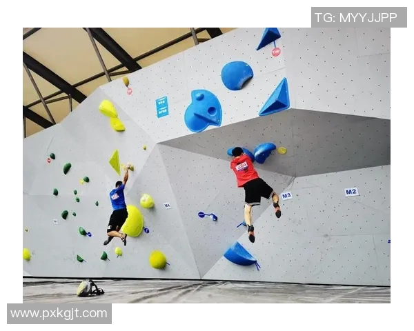 武汉攀岩队的控制得失分析与未来发展方向探讨