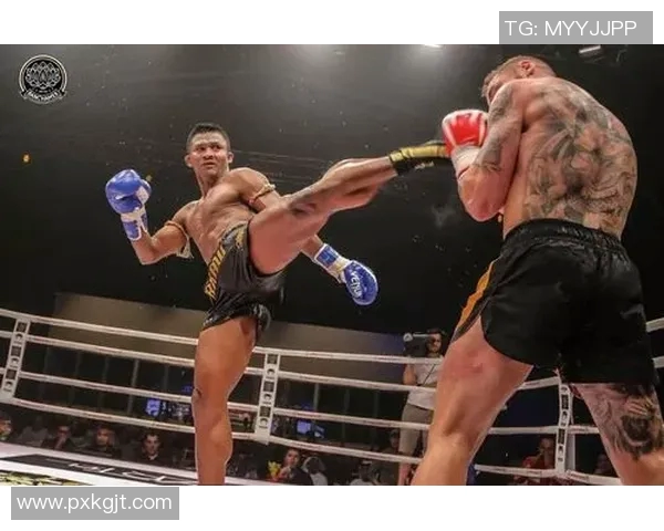 2017年搏击盛事播求对决一龙精彩瞬间回顾与分析