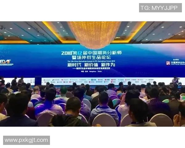 多伦多急流直播对决精彩瞬间回顾与分析 多伦多急流直播对决精彩瞬间回顾与分析