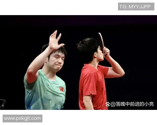 乒乓球对决日本与新加坡谁能笑到最后精彩赛事即将上演