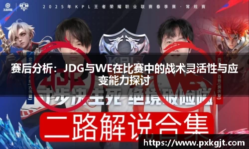 赛后分析：JDG与WE在比赛中的战术灵活性与应变能力探讨
