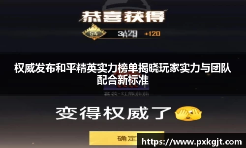 权威发布和平精英实力榜单揭晓玩家实力与团队配合新标准