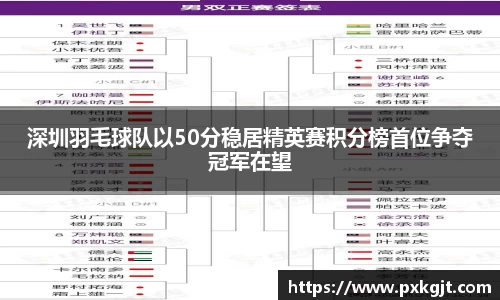深圳羽毛球队以50分稳居精英赛积分榜首位争夺冠军在望