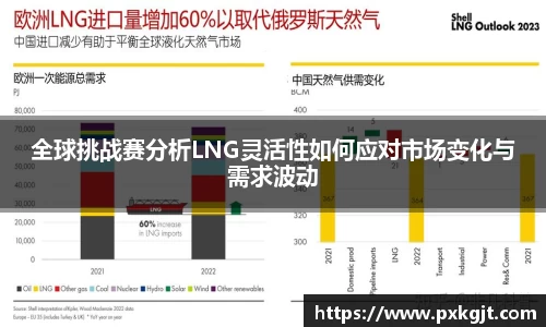 全球挑战赛分析LNG灵活性如何应对市场变化与需求波动