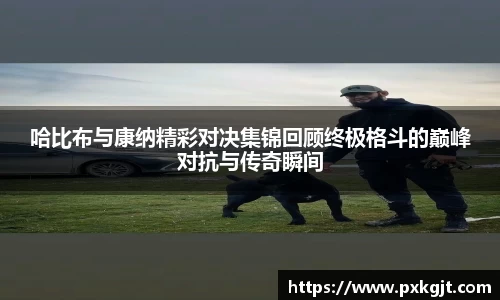 哈比布与康纳精彩对决集锦回顾终极格斗的巅峰对抗与传奇瞬间