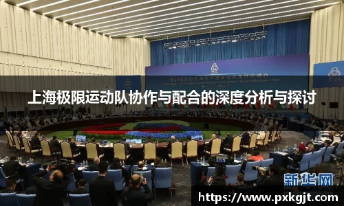 上海极限运动队协作与配合的深度分析与探讨